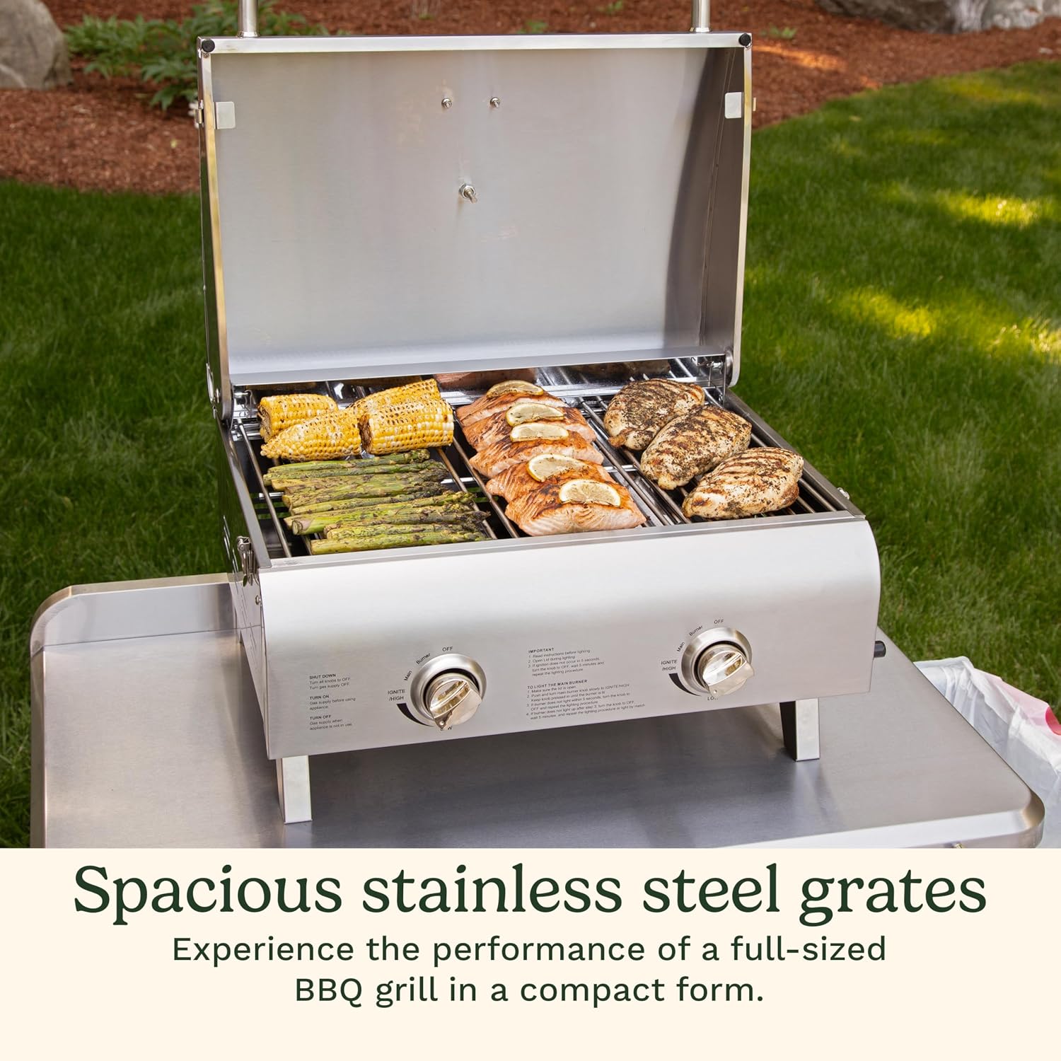 2 Burner Stainless Steel Portable Propane Tabletop Grill